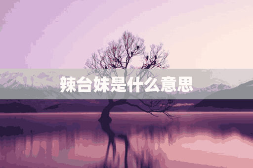 辣台妹是什么意思